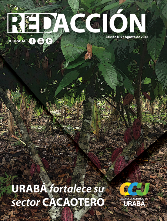 Revista REDACCIÓN # 9 | CCURABA